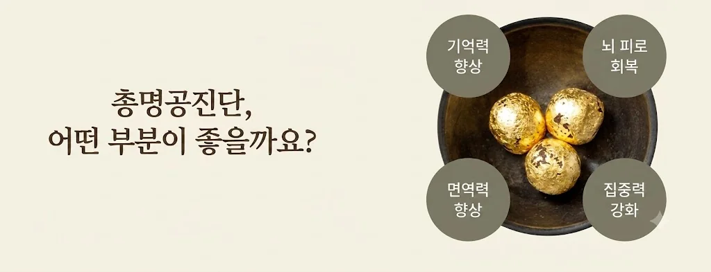 집중력 향상 클리닉 관련 이미지