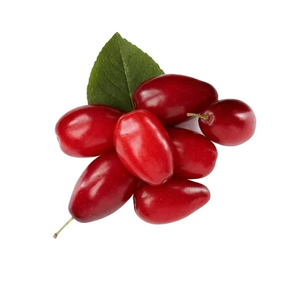 산수유 약재 사진