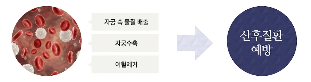 출산 직후 어혈 관리 이미지